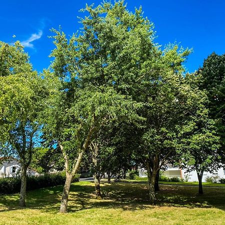 Apartament T3 Moderne Avec Balcon Terrasse Et Parking Gratuit Niort Zewnętrze zdjęcie