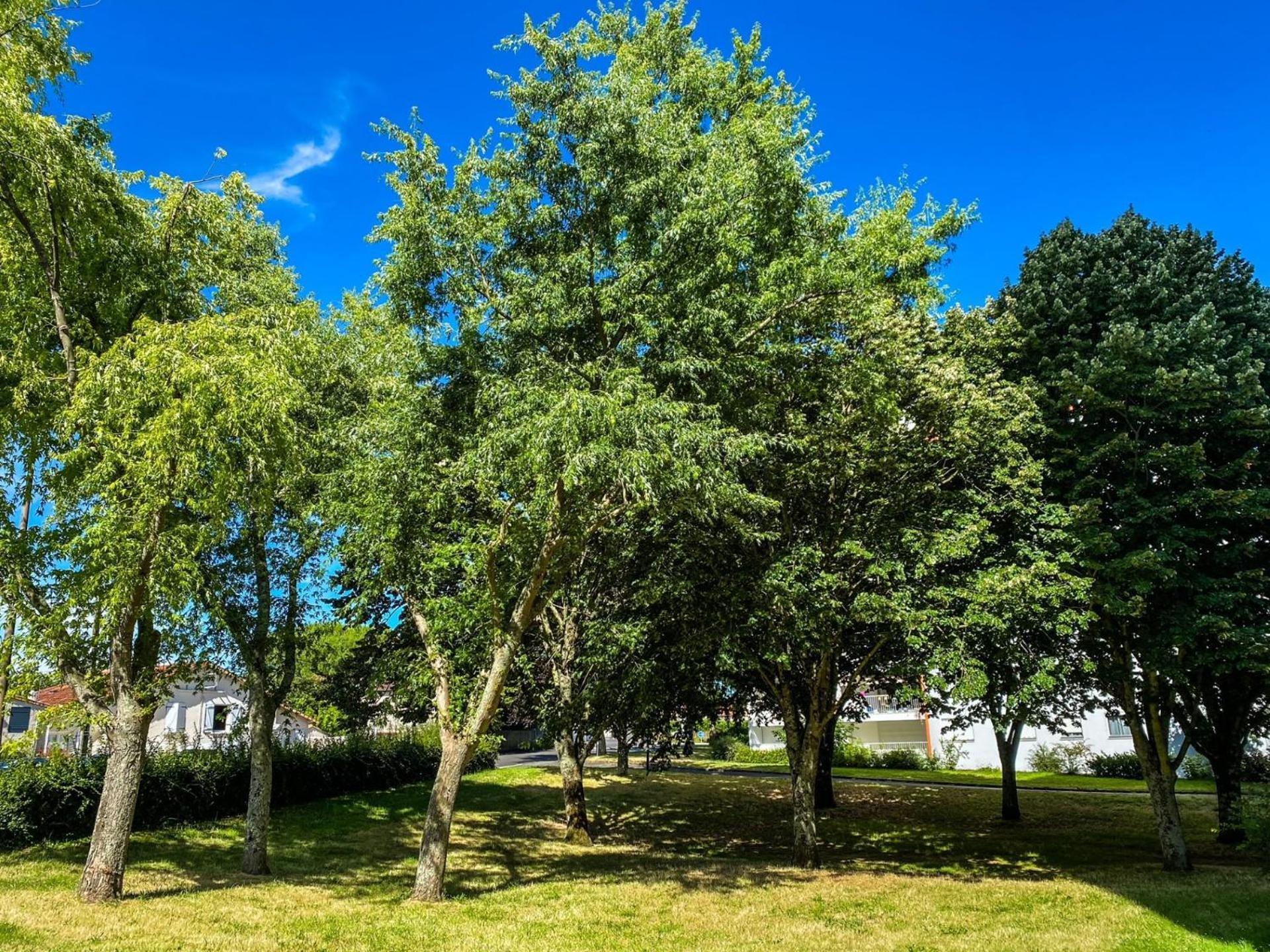 Apartament T3 Moderne Avec Balcon Terrasse Et Parking Gratuit Niort Zewnętrze zdjęcie
